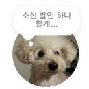 와니살롱 | 6월에는 뭘 먹고 살았느냐면