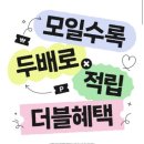 샐러두잇