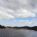 갯골 태양광발전소 이미지