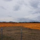 신천목장 이미지