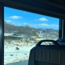 토방생선가 | 2023년 퇴사와 함께 안뇨옹