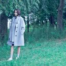 바이슈에뜨 이미지