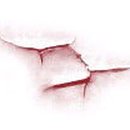 에이치에스(H.S) 이미지