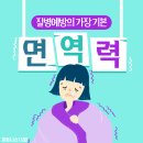 13월겨울 이미지