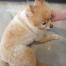 준현농장 | 종강 안 한 대학생인데요 !