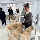 뭉스벨리 이미지