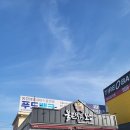 불끈낙지&보쌈 이미지