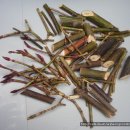 세성사료 이미지