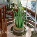 알로에테마파크 이미지