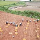 현희 농장 이미지