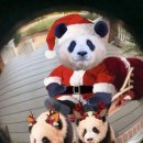 보아 크리스마스 노래 추천 이미지