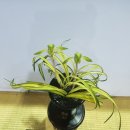 웅비체육관 이미지