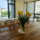 1일 1취미,  꽃이 피는 화(花)요일 이미지