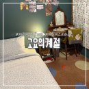 고요하우스 | 제주 애월 여성전용 조용한 게스트하우스 고요의계절 후기
