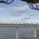 낙동강변로 이미지