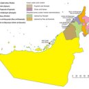 아랍 에미리트 조사 이미지