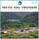 수레의산자연휴양림 이미지