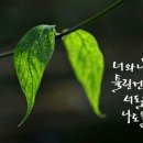 건강걷기체조 이미지