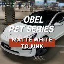 핑크pink | 용인랩핑 테슬라 랩핑 OBEL MATTE WHITE TO PINK 화이트 투 핑크 후기