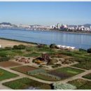 의주부동산공인중개사사무소 이미지