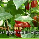 병욱농장 이미지