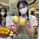 착한과일 이미지
