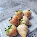 주식회사 퍼밋 이미지