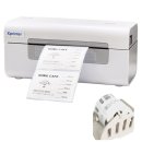 창성(애견) 이미지