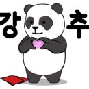 마스터 홍 태권도 이미지