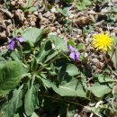 세류2리 이미지