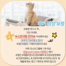 예스광고기획 - 평택시 서동대로 1122 | 대전체험단광고 마케팅 신뢰 홍보는 예스애드