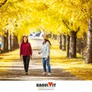 가을 카카오 검색결과