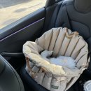 댕댕이 펫카 이미지