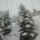 김성수 행정사 사무소 이미지