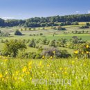 산천초목 이미지