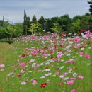 기차길옆 이미지