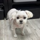 땡