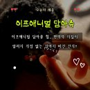 애니멀케어 | 강아지비건간식 추천! 이프애니멀 담아츄 힘으로 면역력 챙겨준 후기