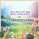 별빛사이 이미지