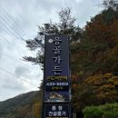 콘도식민박 | 강원도 홍천 [서석] 찐로컬맛집 '응골가든' 내돈내산 찐후기