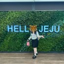 다정카정비 | [250822~24] shout out to 제주도