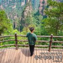 장가계 | 중국 장가계 패키지 여행 후기 장가계 직항 패키지