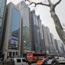 큐빌딩매매부동산중개 이미지