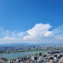 11500-7-68-11 | [일본] 첫 해외여행은 오사카로! 4박5일 리얼코스 &amp; 솔직후기