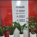 행정사사무소 사람들 | 행정사 합동사무소 방문 후기