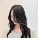 도도하리