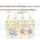 서울바른약국 이미지