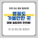 백합어린이공원 남단 교통섬 | 영종도 가볼만한 곳 베스트10 추천