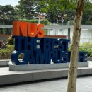 한국영원 태권도 | 싱가포르 2日