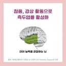 시립와동 어린이집 이미지